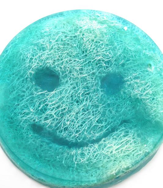 Raspberry and Pomegranate Soap Sponge